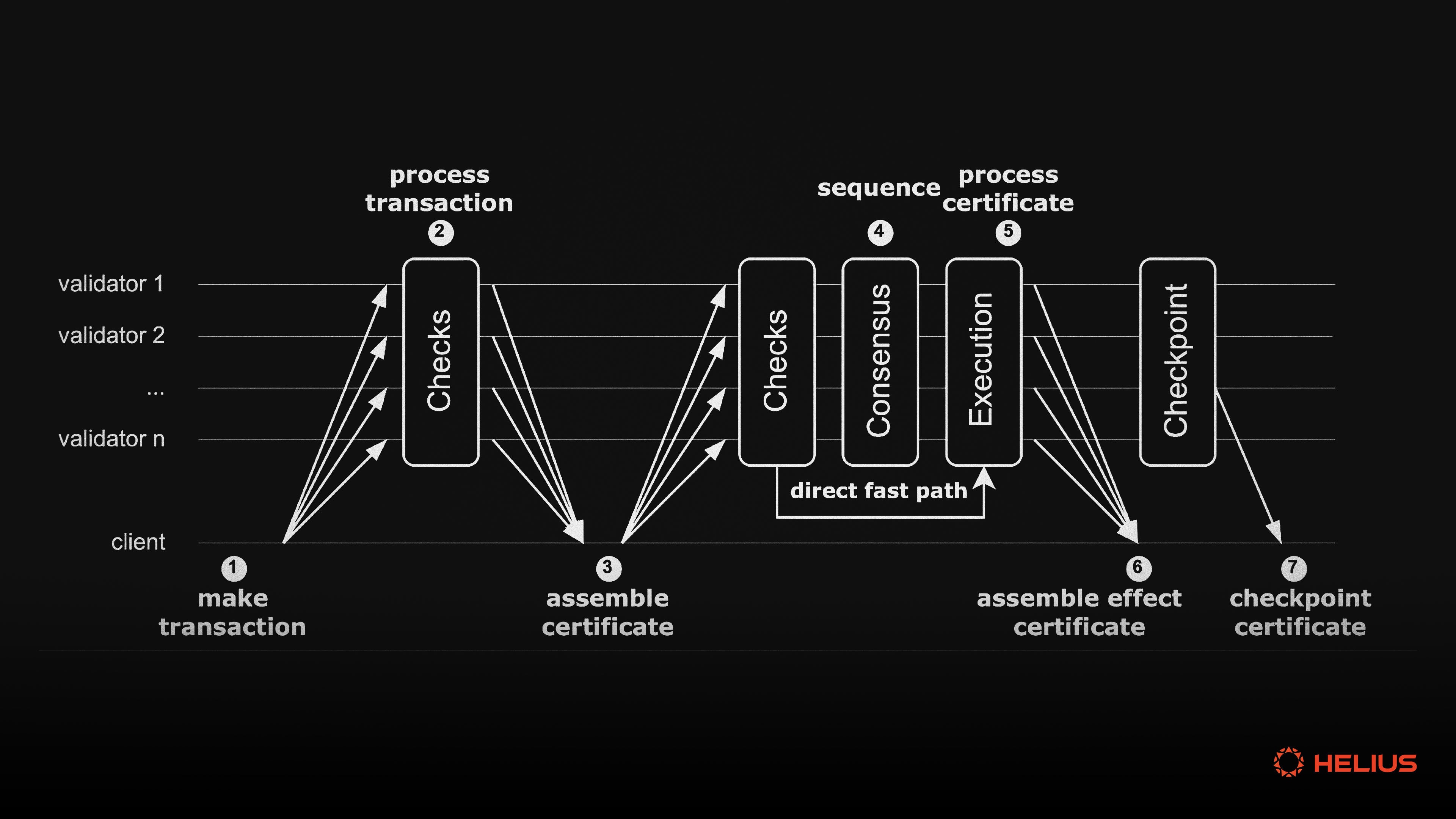 Sui object ID versioning DAG